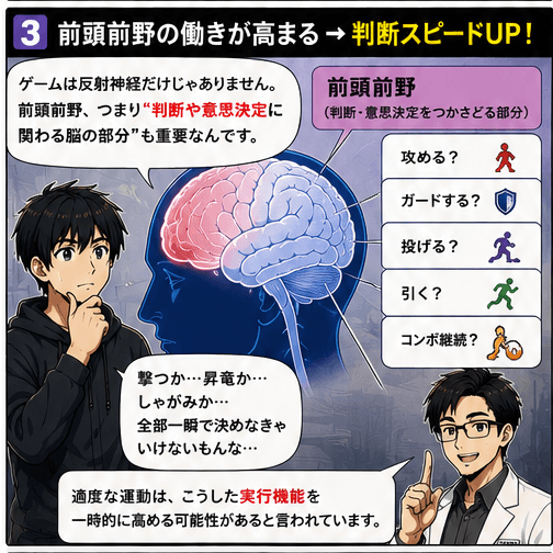 前頭前野の働きが高まる→判断スピードUP！適度な運動は実行機能を一時的に高める