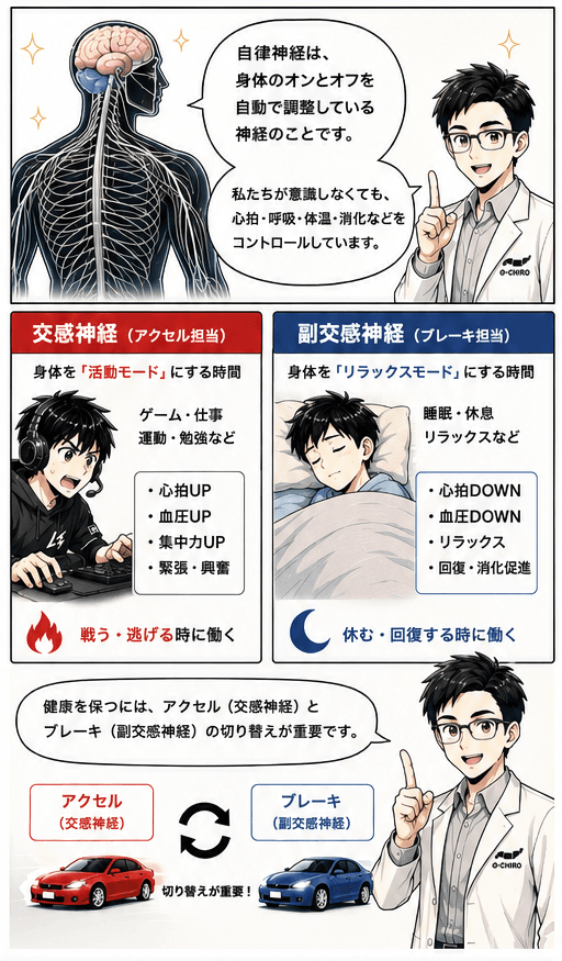 自律神経とは、交感神経（アクセル）と副交感神経（ブレーキ）の切り替えのこと